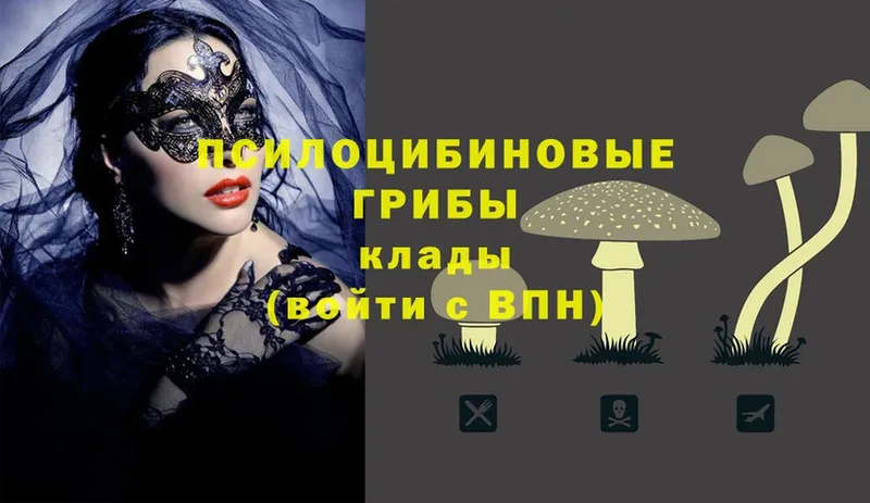 Псилоцибиновые грибы Magic Shrooms  Покачи 